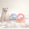 Rainbow Cat And Dog Bowl Rack Cute Pet Supplies - Image 4